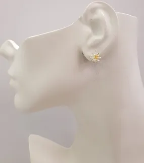 Small Daisy 2 Tone Earrings